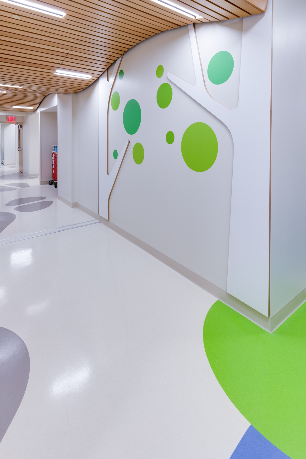 University Hospitals Rainbow Babies & Children’s Hospital Zagara